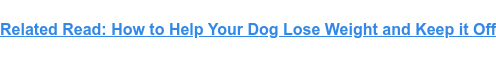 Related Read: How to Help Your Dog Lose Weight and Keep it Off