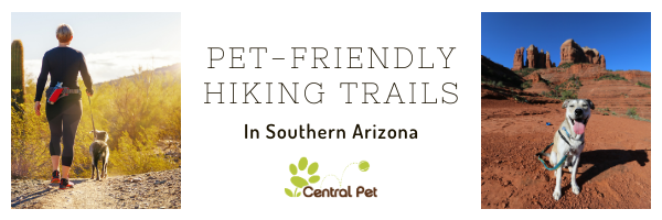 Pet Friendly Hiking Trails in Southern Arizona