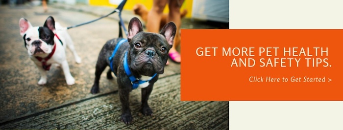 New call-to-action