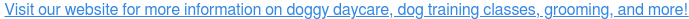 Visit our website for more information on doggy daycare, dog training classes,  grooming, and more! <https://centralpetaz.com/>