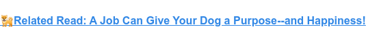 Related Read: A Job Can Give Your Dog a Purpose--and Happiness!