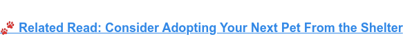  Related Read: Consider Adopting Your Next Pet From the Shelter
