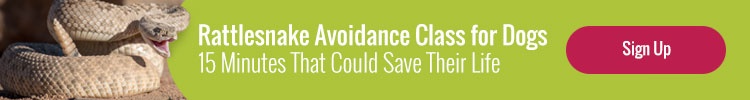 New call-to-action