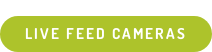 Live Feed Cameras
