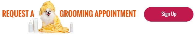 Request a Grooming Appointment at Central Pet Arizona