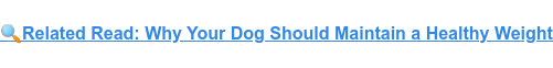 Related Read: Why Your Dog Should Maintain a Healthy Weight