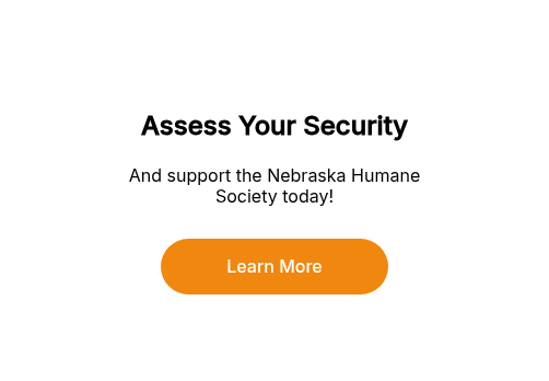 Assess Your Security