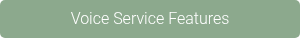 Voice Service Features