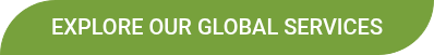 Explore Our Global Services
