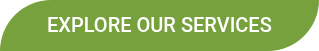 Explore Our Services