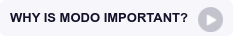 WHY IS MODO IMPORTANT?