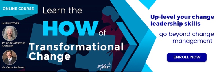 Learn the HOW of Transformational Change