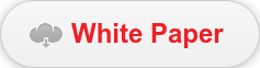 White Paper
