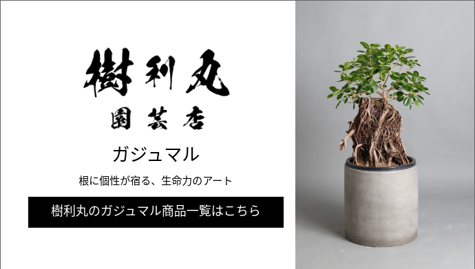 スクリーンショット 2025-02-14 170629