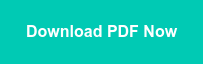 Download PDF Now