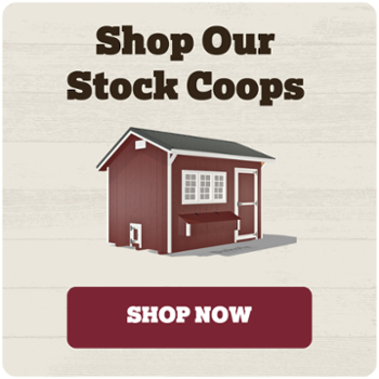 Shop our stock coops
