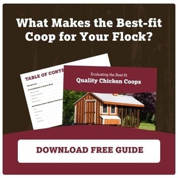 Raspberry colored curve with a illustrated chicken coop and cover of the downloadable offer on top. 