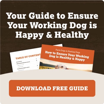 Your guide to ensure your working dog is happy and healthy. Download now!