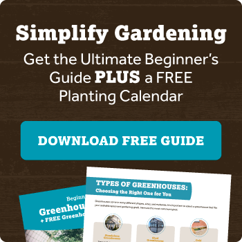 CTA_BeginnersGuideToGreenhouseGardening_Square