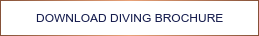 DOWNLOAD DIVING BROCHURE