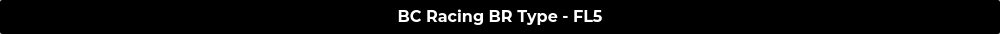 BC Racing BR Type - FL5