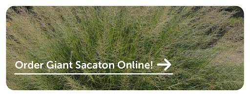 New call-to-action