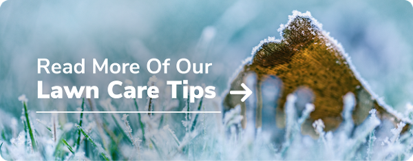 Read More of our Lawn Care Tips