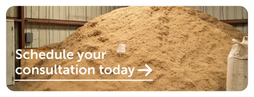 schedule your consultation today