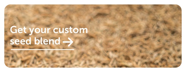 Get Your Custom Seed Blend