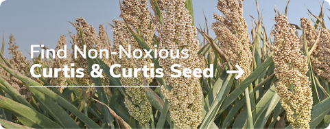 Find Non-Noxious Curtis & Curtis Seed