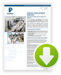 Process Development Services data sheet