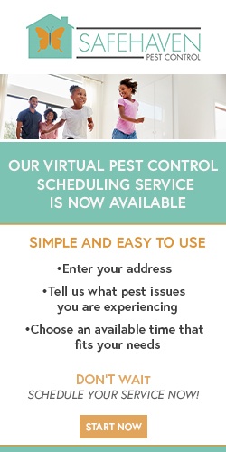 Pest Control Dallas
