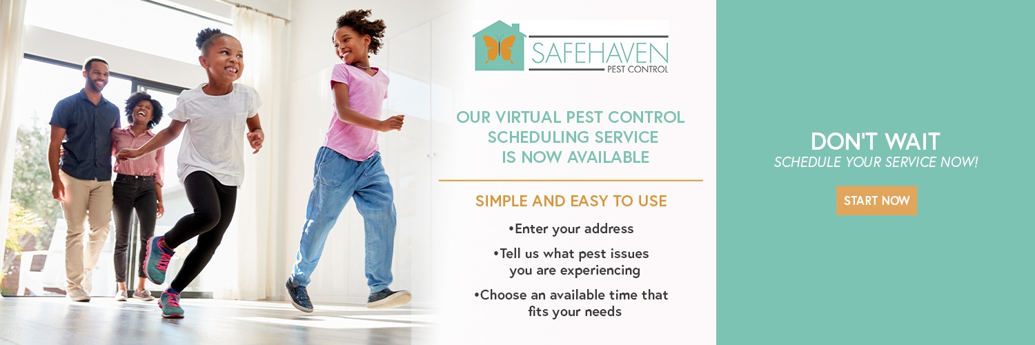Pest Control Dallas