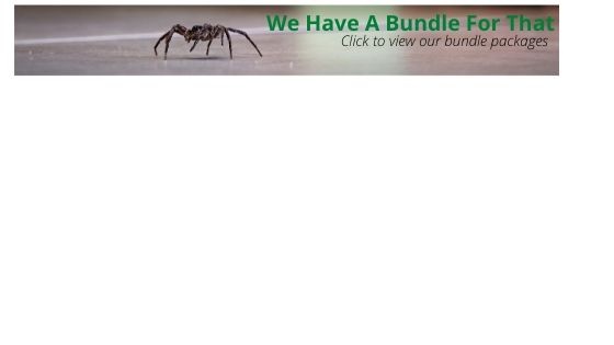 Spiders