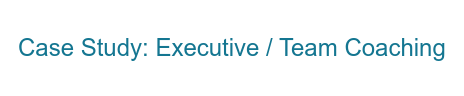 Case Study: Executive / Team Coaching