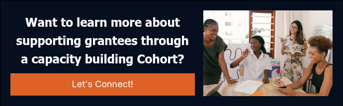 Want to learn more about supporting grantees through a capacity building Cohort?