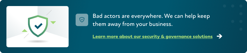 Learn more about our security & governance solutions