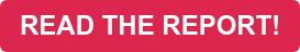 READ THE REPORT!