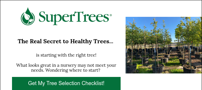 supertrees