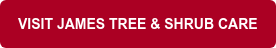 VISIT JAMES TREE & SHRUB CARE
