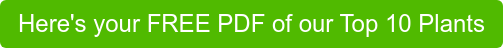 Here's your FREE PDF of our Top 10 Plants