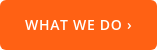 WHAT WE DO ›