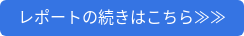 レポートの続きはこちら≫≫