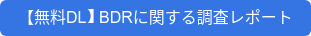 【無料DL】BDRに関する調査レポート