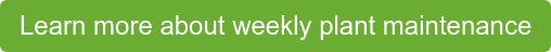 Learn more about weekly plant maintenance