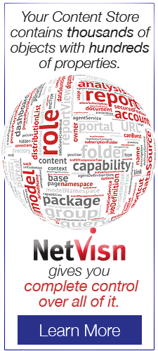 Your Content Store contains thousands of objects with hundreds of properties. netvisn gives you control of all of it learn more