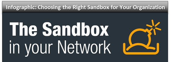 Infographic: Choosing the Right Sandbox Solution for your organization