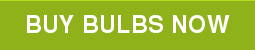 BUY BULBS NOW