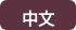 中文