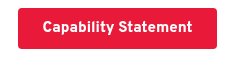 Capability Statement